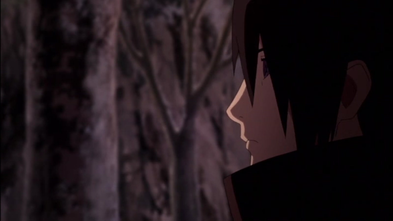 Naruto Shippuden Season 21 Episode 485 — Coliseum