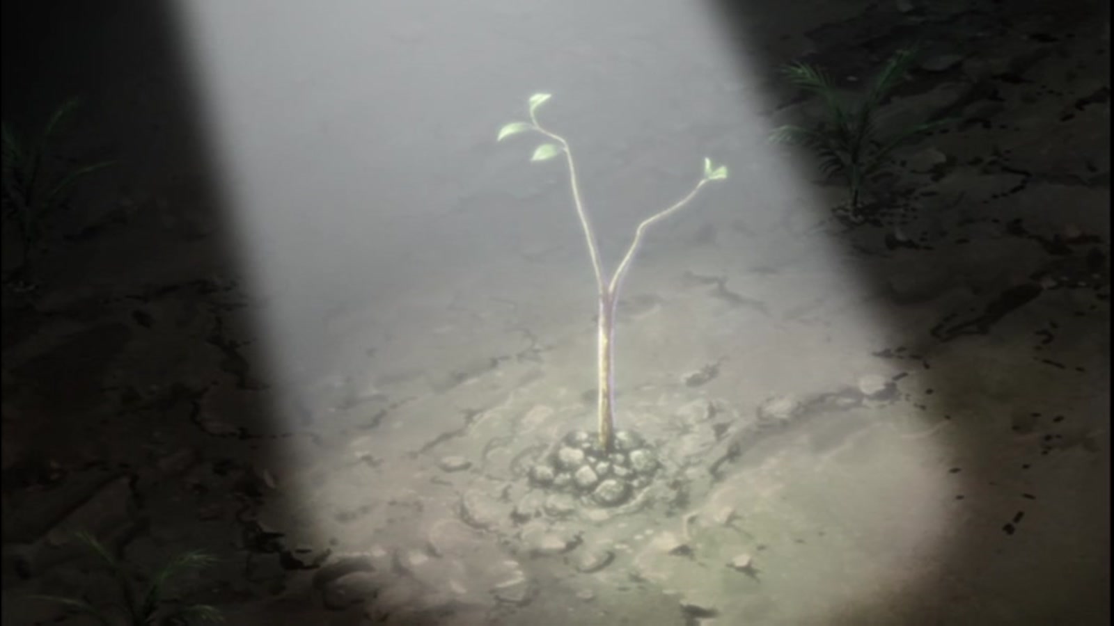 Naruto Shippuden Season 16 Episode 354 — Their Own Paths