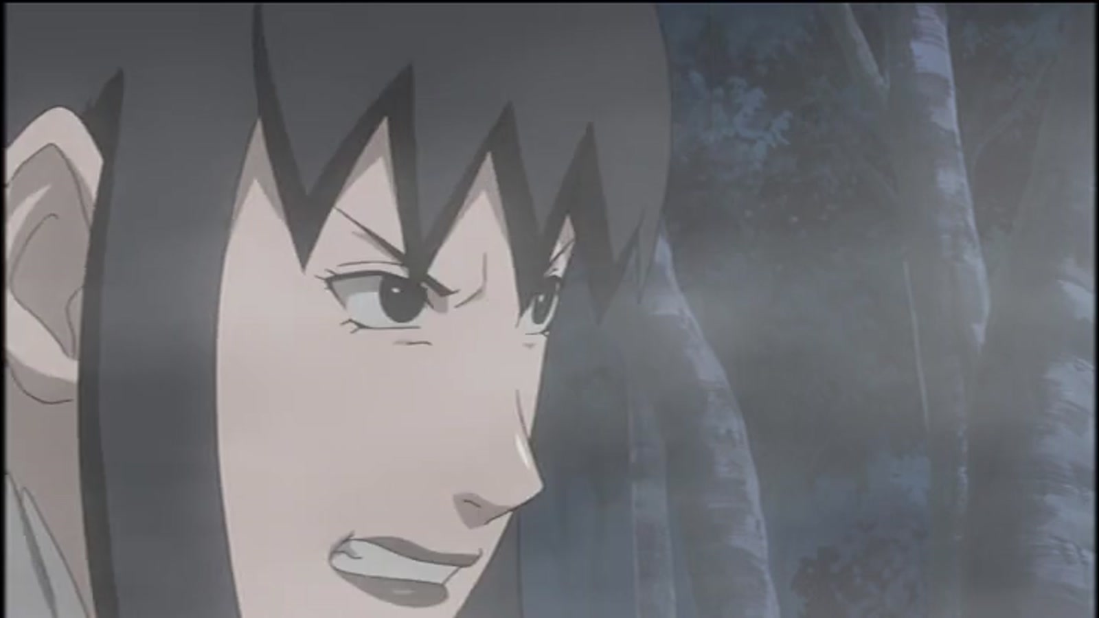 Naruto Shippuden Season 5 Episode 101 — Everyone's Feelings