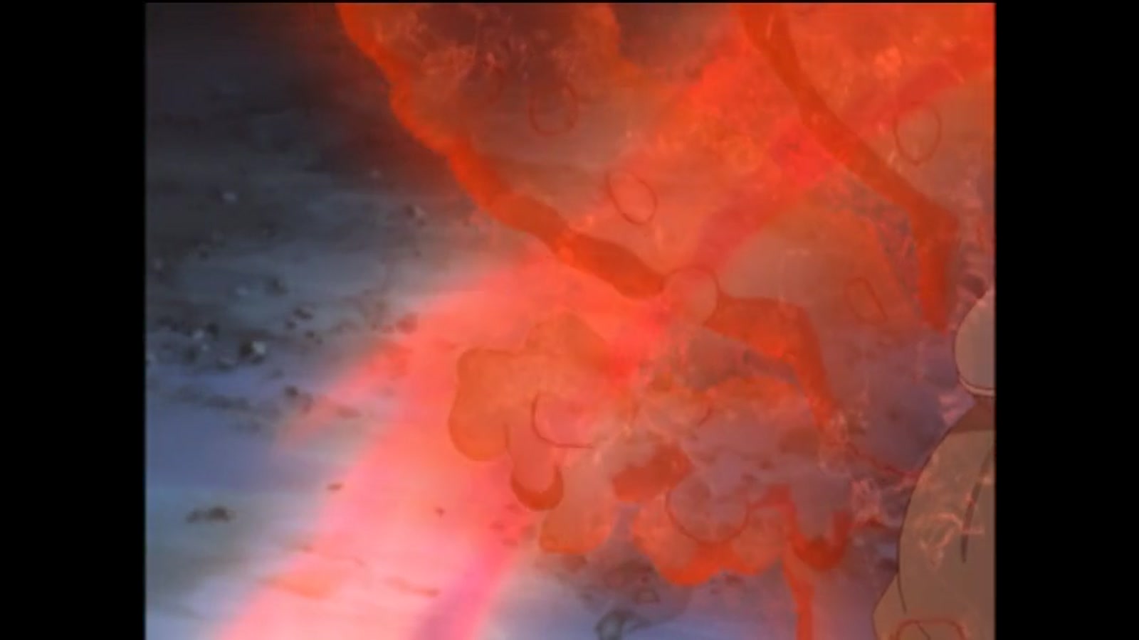 Naruto Shippuden Season 2 Episode 40 — The Nine-Tails Unleashed