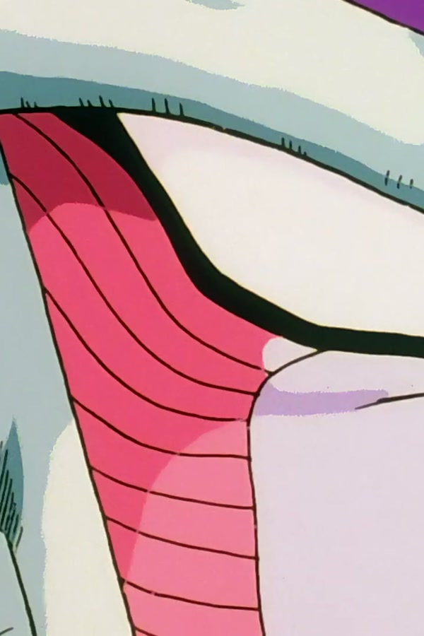 Dragon Ball Z Season 1 Episode 47 — Namek's Defense
