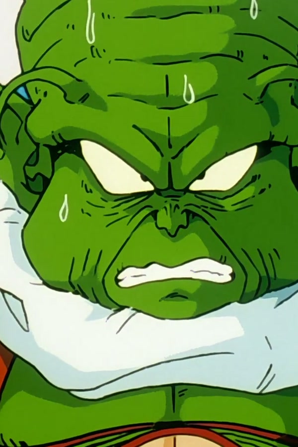 Dragon Ball Z Season 1 Episode 48 — The Hunted