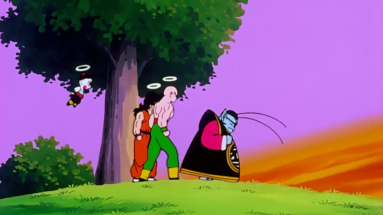Dragon Ball Z Season 1 Episode 101 — The Last Wish