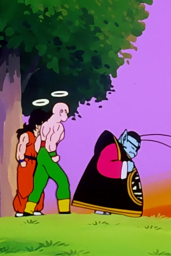 Dragon Ball Z Season 1 Episode 101 — The Last Wish