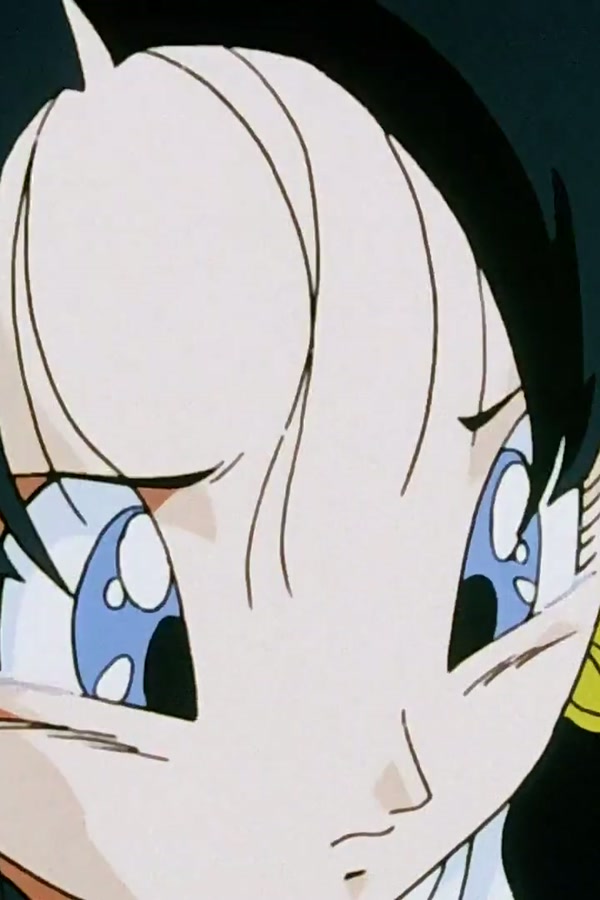 Dragon Ball Z Season 1 Episode 207 — Take Flight Videl