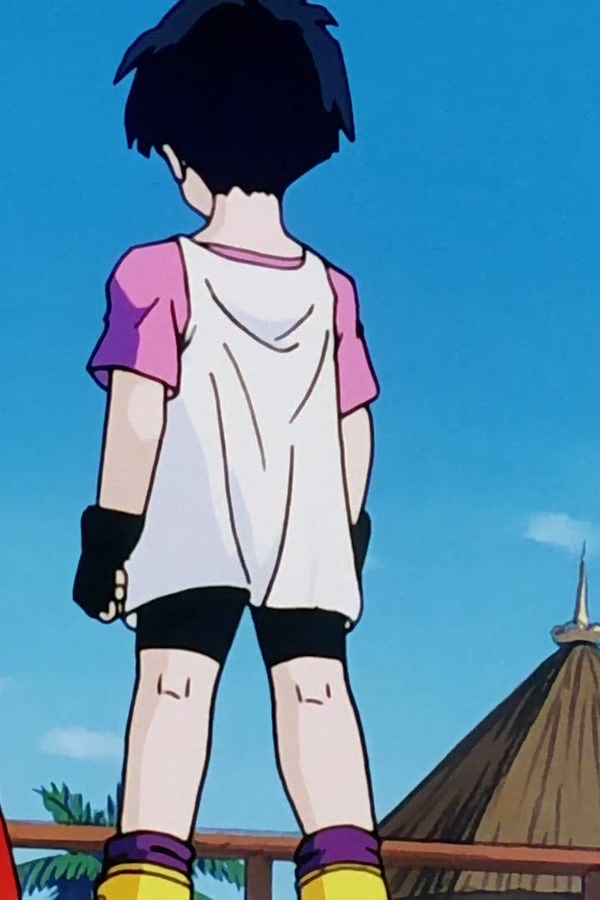 Dragon Ball Z Season 1 Episode 209 — Camera Shy