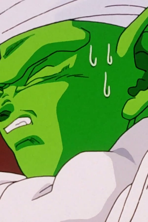 Dragon Ball Z Season 1 Episode 219 — Energy Drain