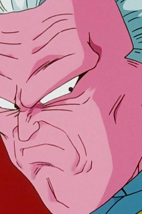 Dragon Ball Z Season 1 Episode 220 — The Wizard's Curse