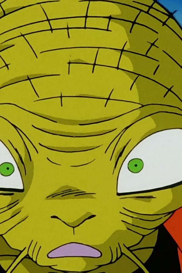 Dragon Ball Z Season 1 Episode 237 — Final Atonement