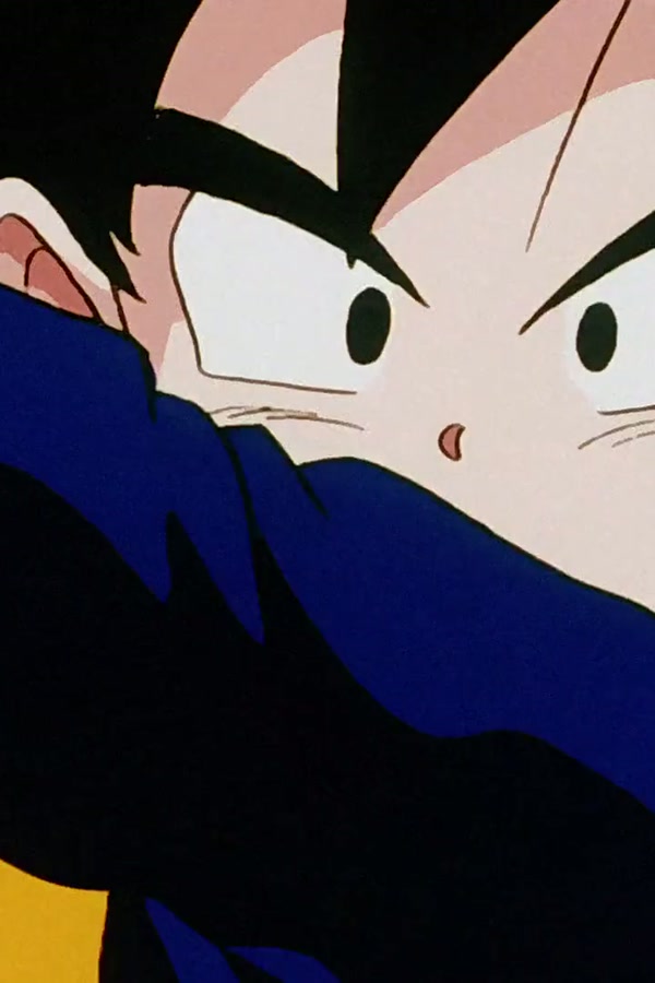 Dragon Ball Z Season 1 Episode 248 — Goku's Time is Up