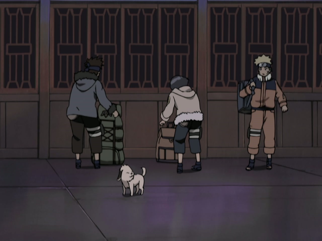 Naruto Season 5 Episode 194