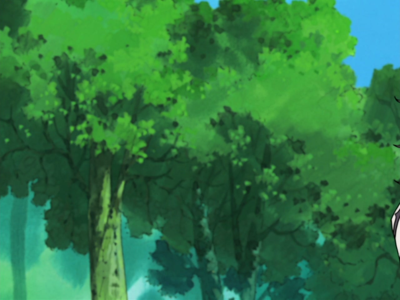 Naruto Season 5 Episode 204