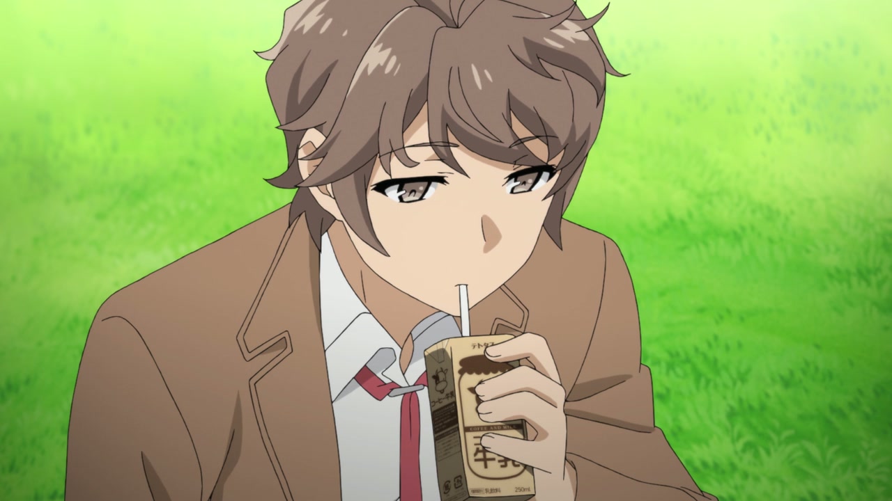 Rascal Does Not Dream of Bunny Girl Senpai Episode 1